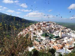 Mulay Idriss