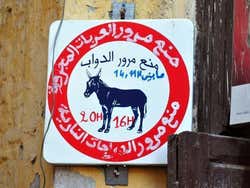 Trasporto tipico della Medina di Fès, l'asino